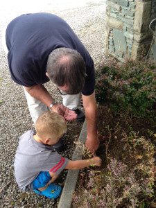Poppy Stelljes helps 'Grand' Tyler plant seeds
